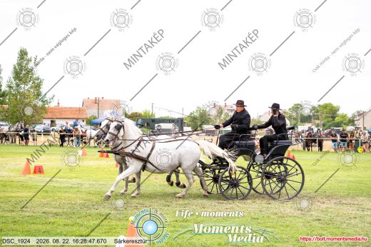 Mintakép 20260822-1819