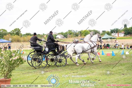 Mintakép 20260822-1825