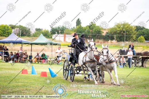 Mintakép 20260822-1838