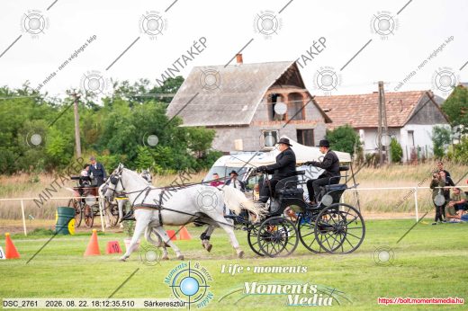 Mintakép 20260822-1846