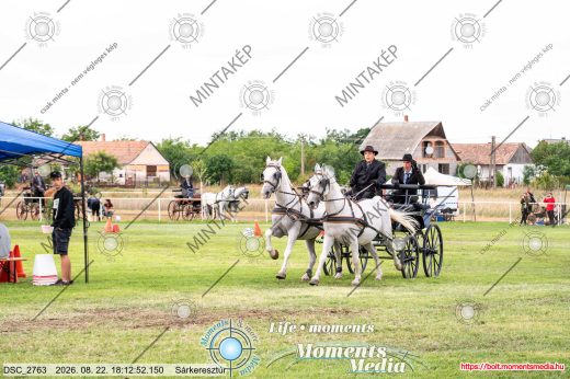 Mintakép 20260822-1847