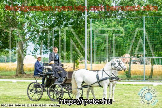 Mintakép 20260611-132