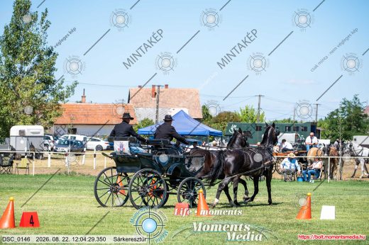 Mintakép 20260822-1889