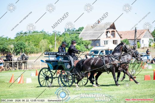 Mintakép 20260822-1892