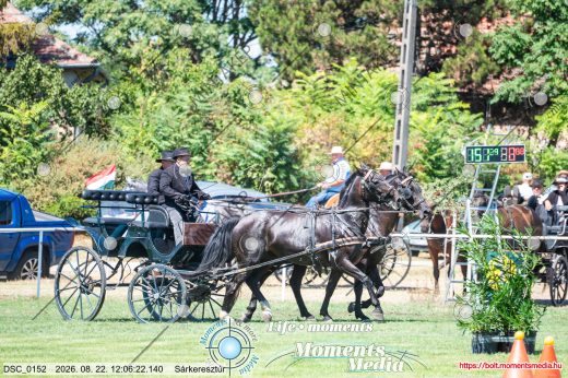 Mintakép 20260822-1894