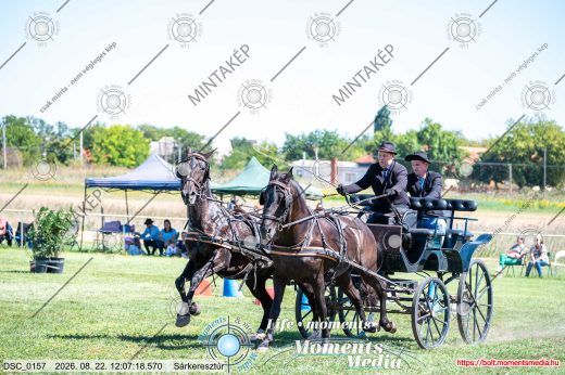 Mintakép 20260822-1896