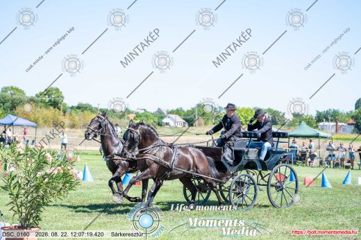 Mintakép 20260822-1897
