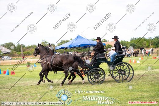 Mintakép 20260822-1902