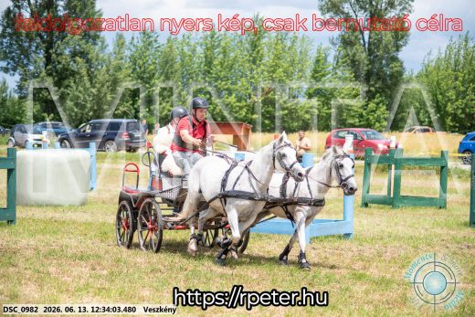 Mintakép 20260613-1744