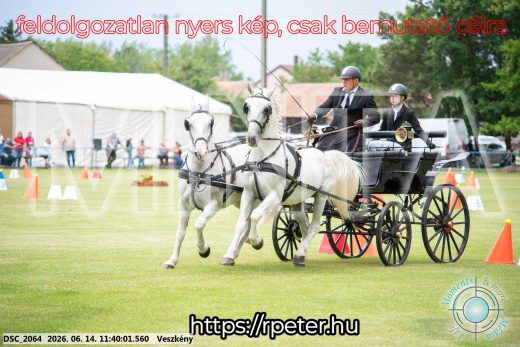 Mintakép 20260614-17