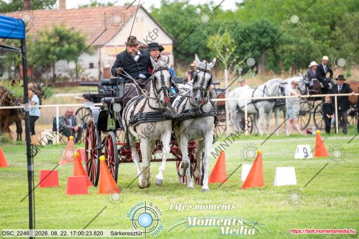 Mintakép 20260822-1961