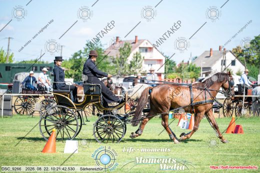 20260822-102142-DSC_9266.jpg
