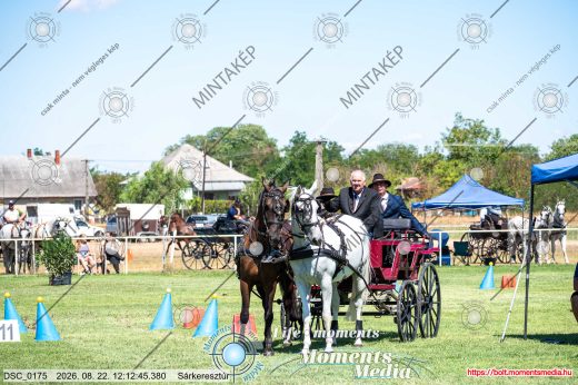 20260822-121245-DSC_0175.jpg