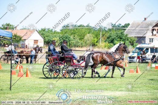 20260822-121307-DSC_0176.jpg