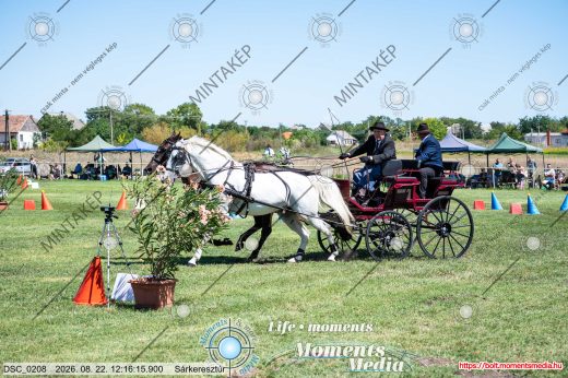 Mintakép 20260822-2088