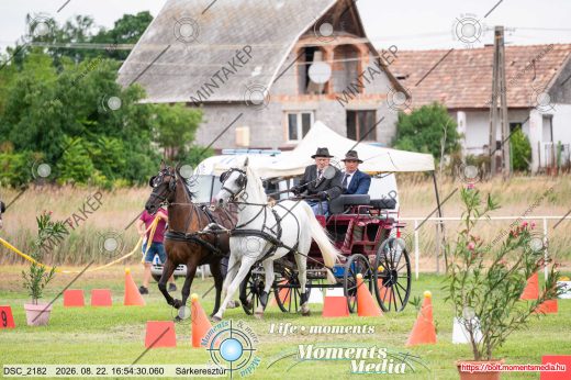Mintakép 20260822-2115
