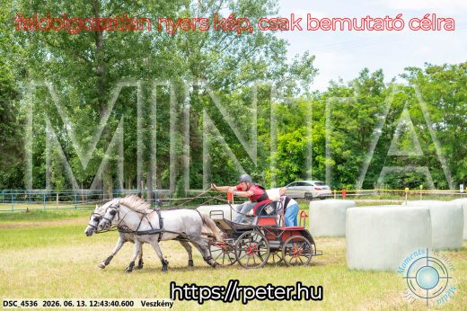 Mintakép 20260613-1764