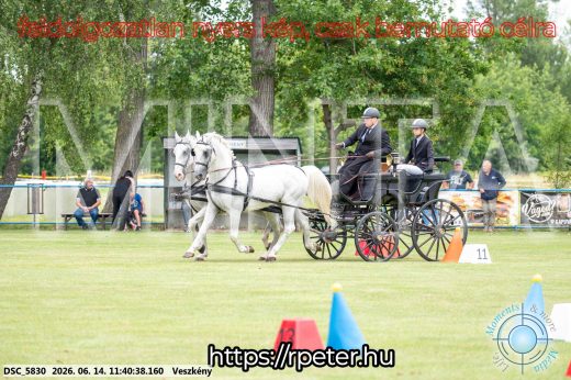 Mintakép 20260614-19