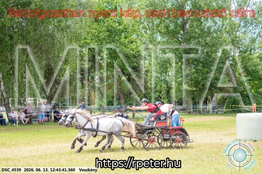 Mintakép 20260613-1766