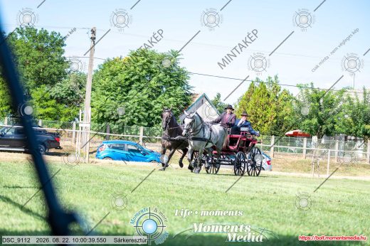 Mintakép 20260822-2152
