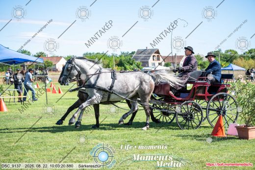 Mintakép 20260822-2161