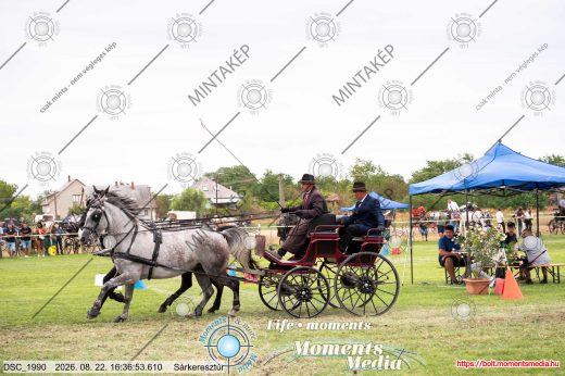 Mintakép 20260822-2165