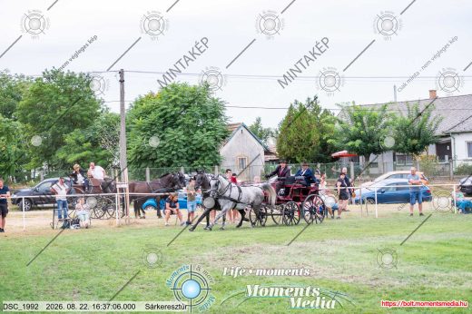 Mintakép 20260822-2166
