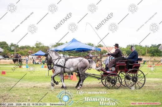 Mintakép 20260822-2177