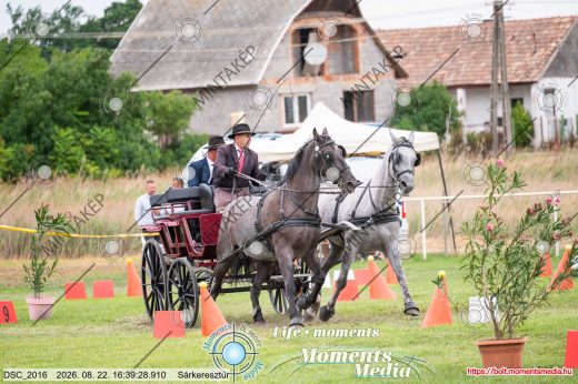 Mintakép 20260822-2181