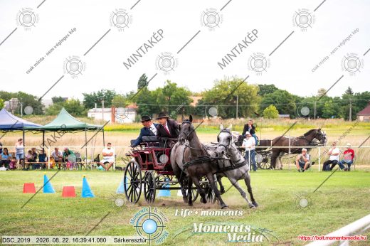 Mintakép 20260822-2183
