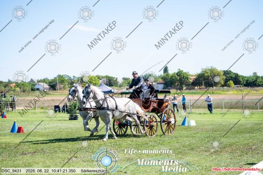 Mintakép 20260822-2232