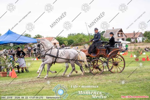 Mintakép 20260822-2236