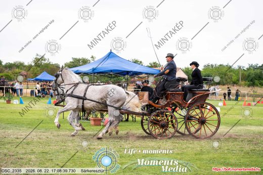 Mintakép 20260822-2249