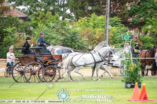 Mintakép 20260822-2251