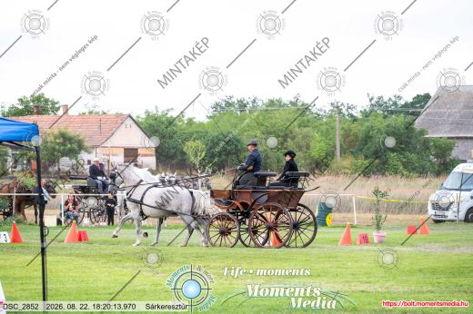 Mintakép 20260822-2269