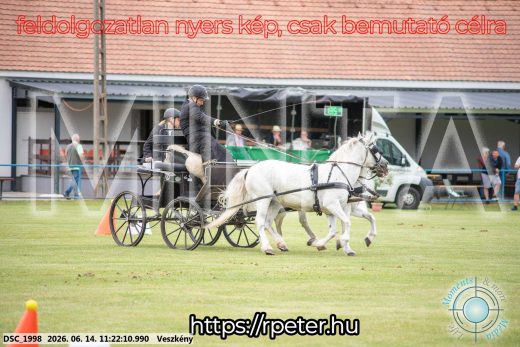 Mintakép 20260614-893