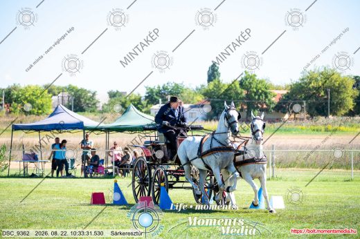 Mintakép 20260822-2305