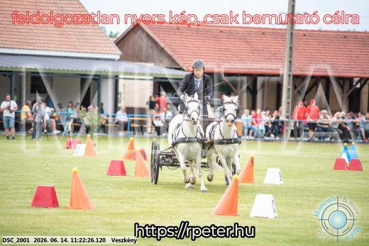 Mintakép 20260614-895