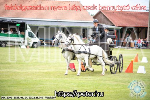 Mintakép 20260614-896