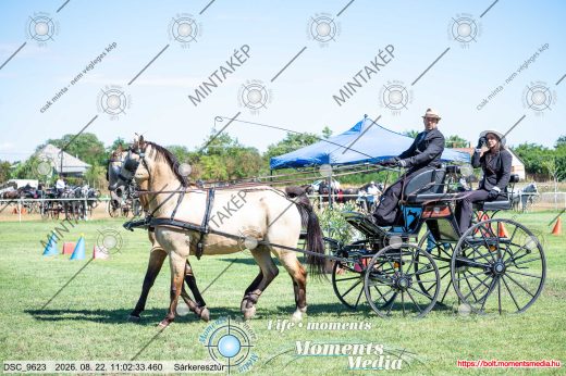Mintakép 20260822-2341