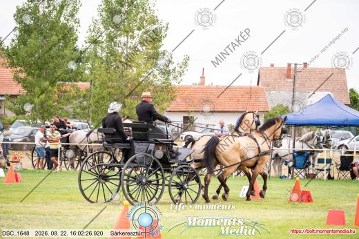 Mintakép 20260822-2348