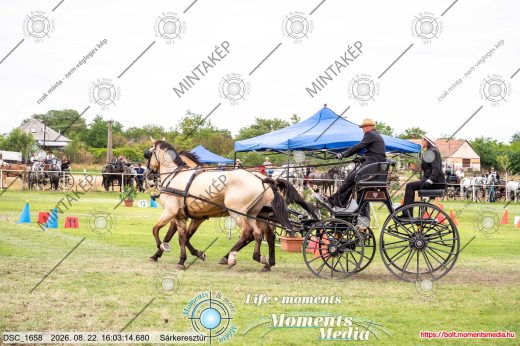 Mintakép 20260822-2354