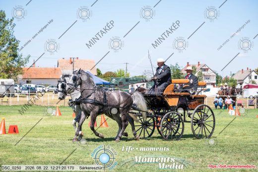 20260822-122120-DSC_0250.jpg