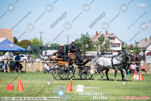 Mintakép 20260822-2370