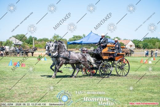 Mintakép 20260822-2371