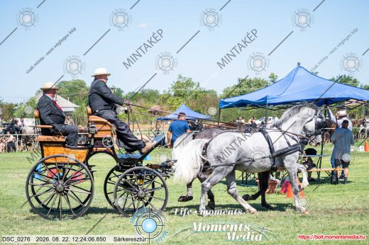 Mintakép 20260822-2382