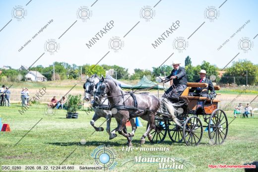 Mintakép 20260822-2386