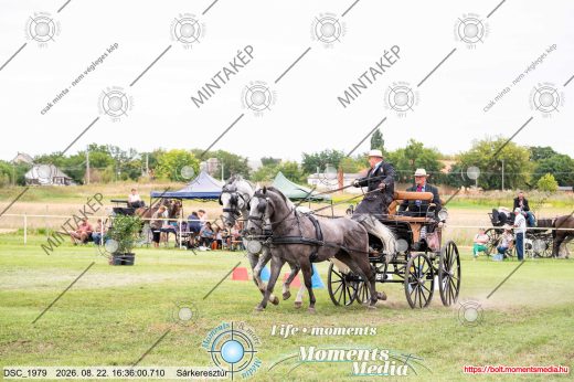 Mintakép 20260822-2412