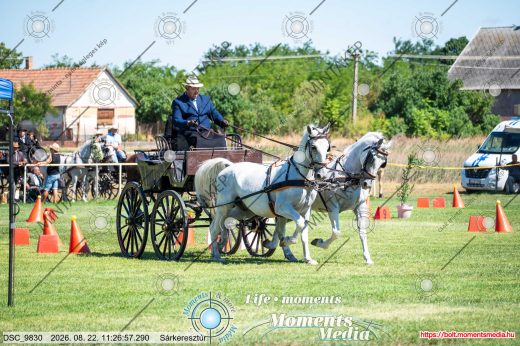 Mintakép 20260822-2426