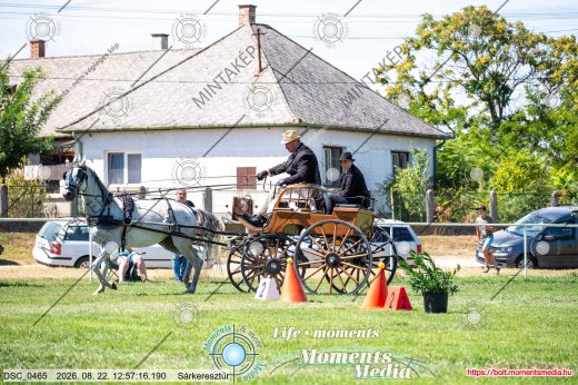 Mintakép 20260822-2462